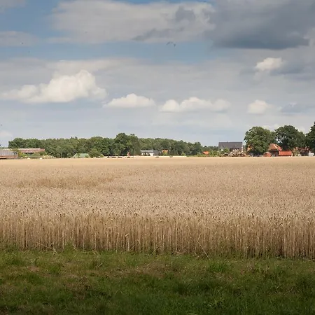 Heideland Winsen Aller Ferienhaus *